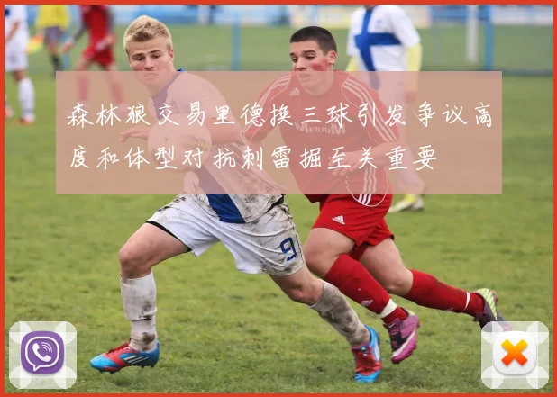 森林狼交易里德换三球引发争议高度和体型对抗刺雷掘至关重要
