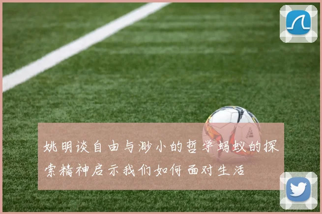 姚明谈自由与渺小的哲学蚂蚁的探索精神启示我们如何面对生活